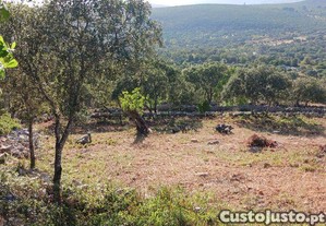 Terreno em Loulé (São Sebastião) de 3160,00 m²