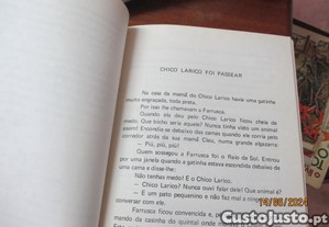 imagem_3