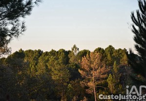 Terreno em Areias e Pias de 5240,00 m