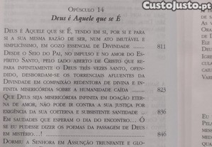 imagem_10