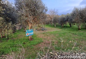 Terreno em Lous� e Vilarinho de 100,00 m�