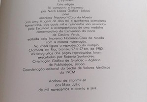 imagem_8