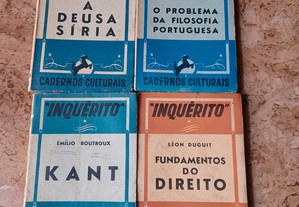 imagem_8
