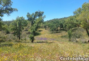 Terreno em Melides de 248300,00 m�