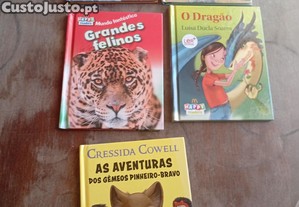 imagem_3