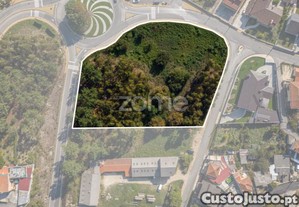 Terreno Urbanizável Com 6968 M², Em Oliveira De...