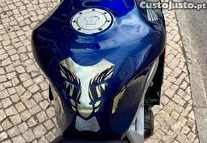 imagem_21