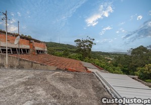 imagem_21