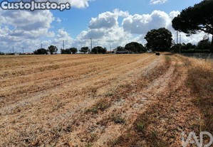 Terreno em Peges de 31738,00 m
