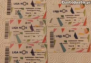 imagem_4