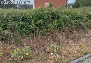 Terreno para construção em Argoncilhe de 552,00 m²