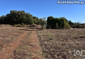 Terreno para construção em Areias e Pias de 8120,00 m²
