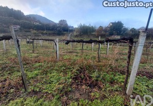 Terreno em Messegães, Valadares e Sá