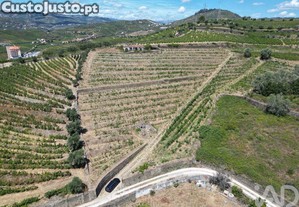 Casa de Campo T4 em Peso da Régua e Godim de 343,00 m²
