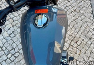 imagem_17