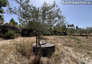 Terreno em Sernancelhe e Sarzeda de 44527,00 m�