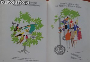 imagem_6