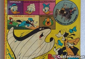 imagem_5