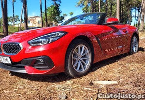 BMW Z4 2.0cc de 197cv - 22