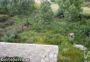 imagem_8