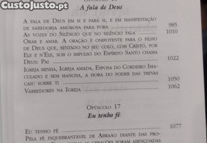 imagem_11