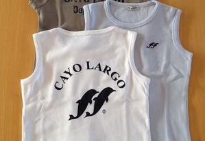 3 Tshirts Cayo Largo 2/3 anos 100% algodão Novas (portes incluídos)