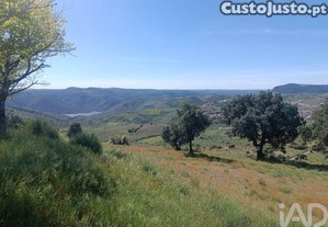 Terreno em Freixo de Espada � Cinta e Mazouco de 49572,00 m�