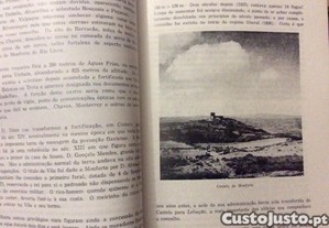 imagem_7