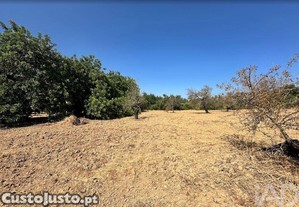 Terreno em Luz de Tavira e Santo Estêvão de 3700,00 m²