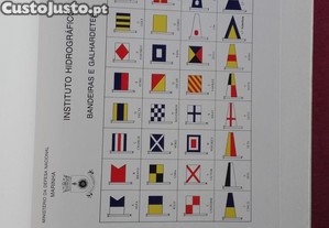 imagem_2