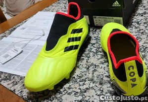 imagem_1