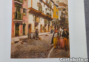 imagem_4