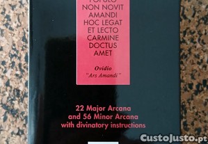 imagem_2