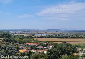 Terreno em Chamusca e Pinheiro Grande de 647,00 m²