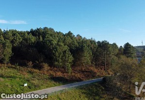 Terreno em Moledo de 9040,00 m²