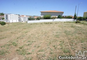 imagem_7