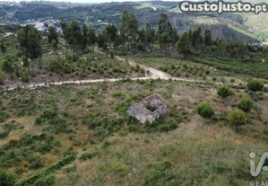 Terreno em Seixo da Beira de 48000,00 m�