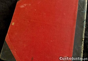 imagem_3