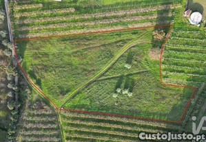 Terreno para construo em Sangalhos