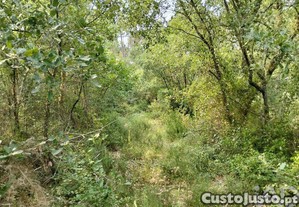 Terreno em Chãos de 1480,00 m²