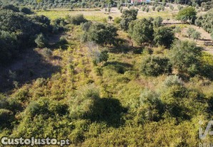Terreno em Areias e Pias de 1850,00 m