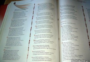 imagem_8