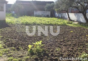 imagem_12