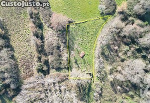 Terreno Agrícola em Espinhal