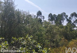 Terreno em Chãos de 1760,00 m²