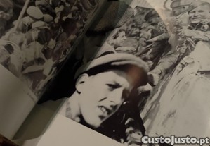 imagem_13