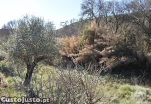 Terreno em Freixianda, Ribeira do Fárrio e Formigais de 2840,00 m²