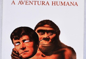 imagem_7