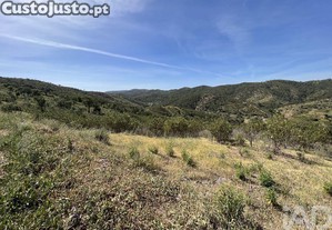 Terreno em Alte de 21390,00 m²