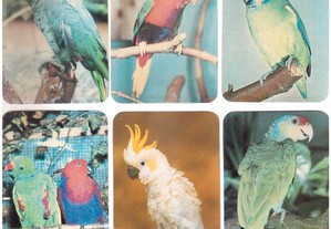 Coleção completa de 12 calendários sobre Aves 1990